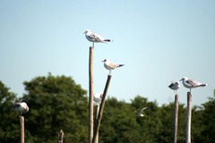 Killikus&reg; Fotographie